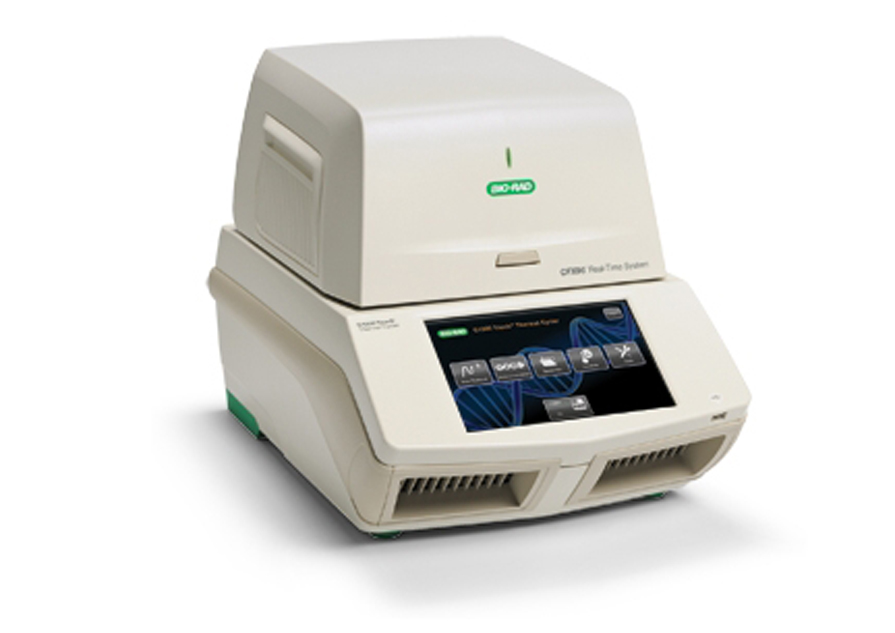 Realtime PCR Hizmeti